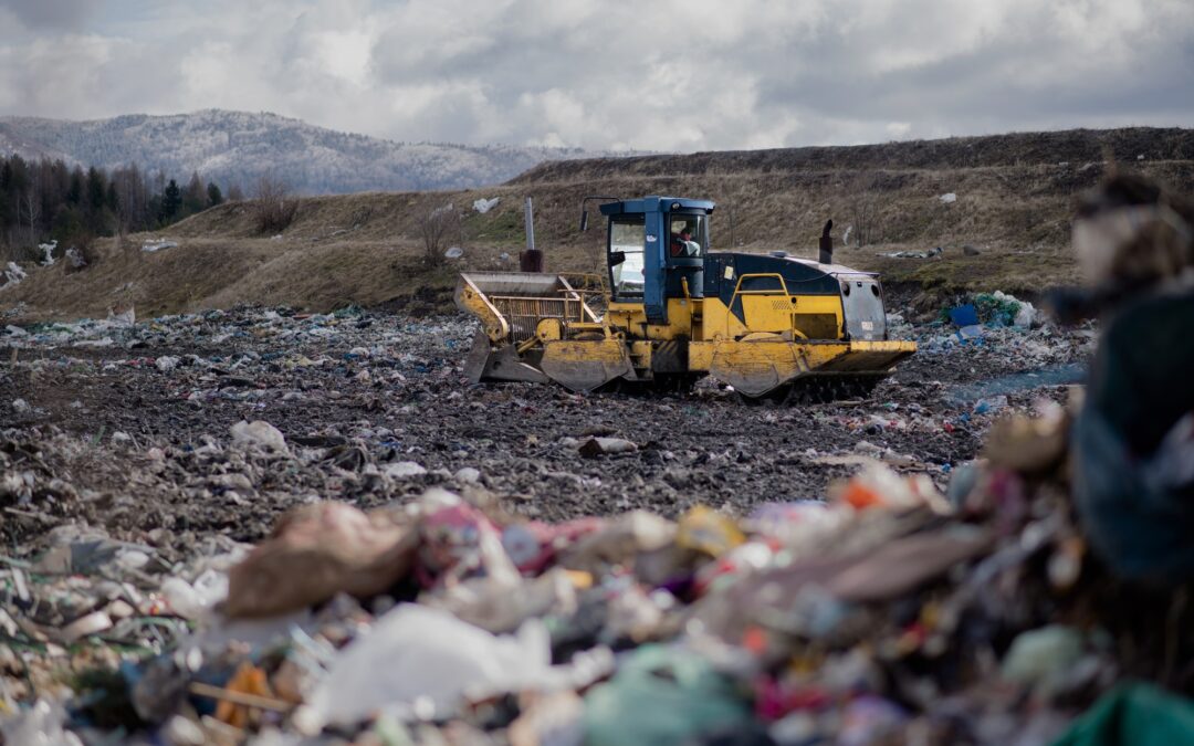 From Waste to Wealth: The Economic Case for Black Mass Recycling